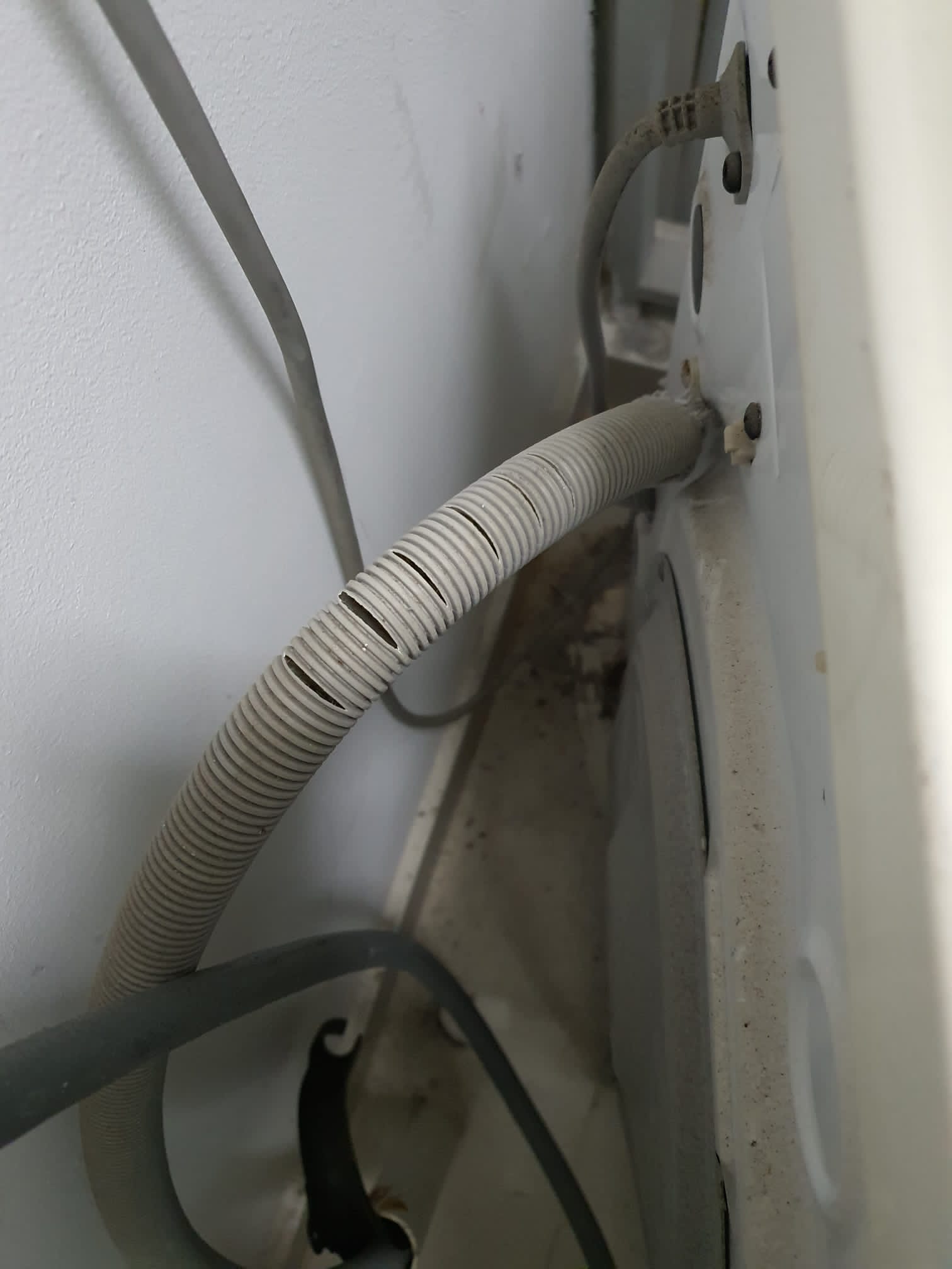 Supply And Replace Washing Machine Outlet Hose 3
