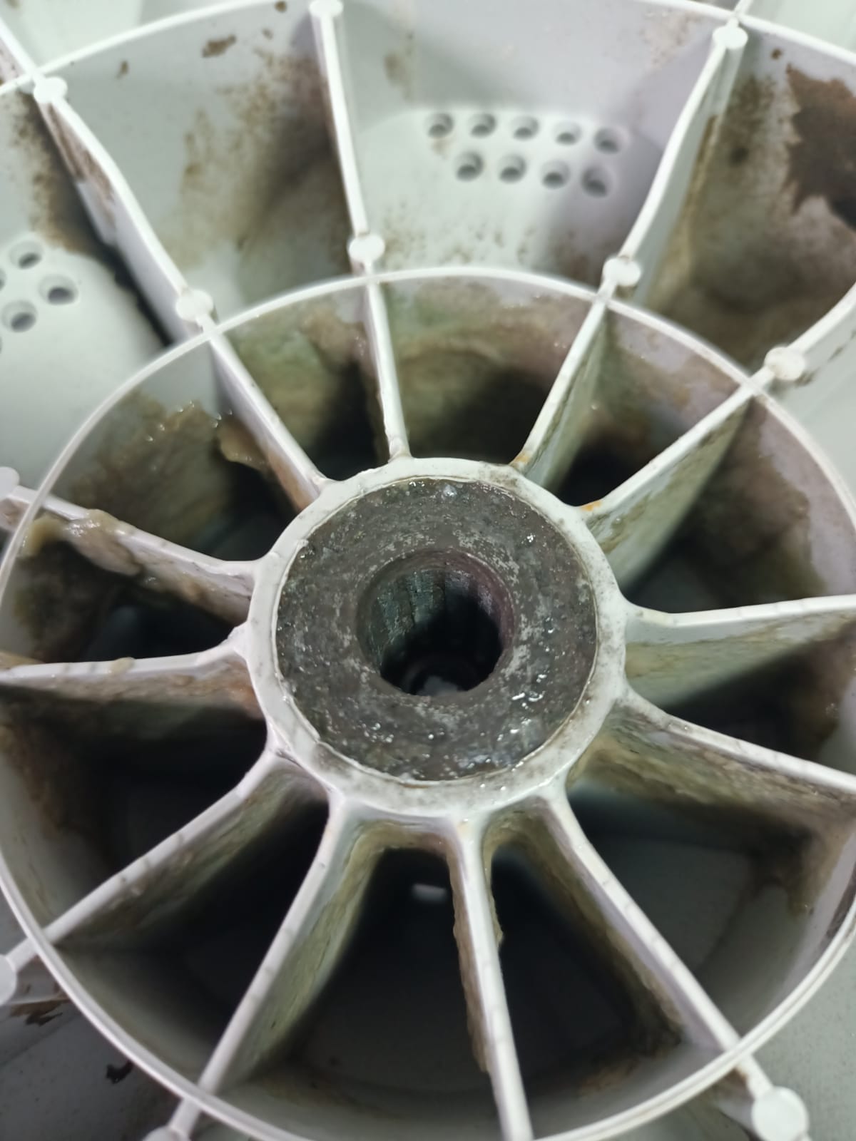 Washing Machine Checking 33