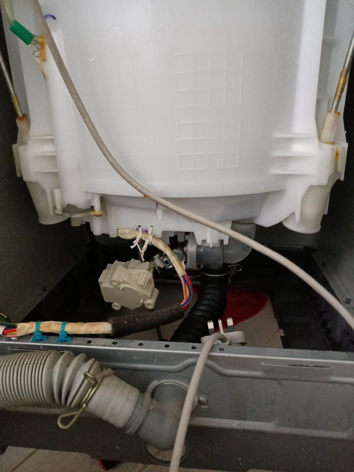 Washing Machine Checking For Drum And Drainage Issue 1