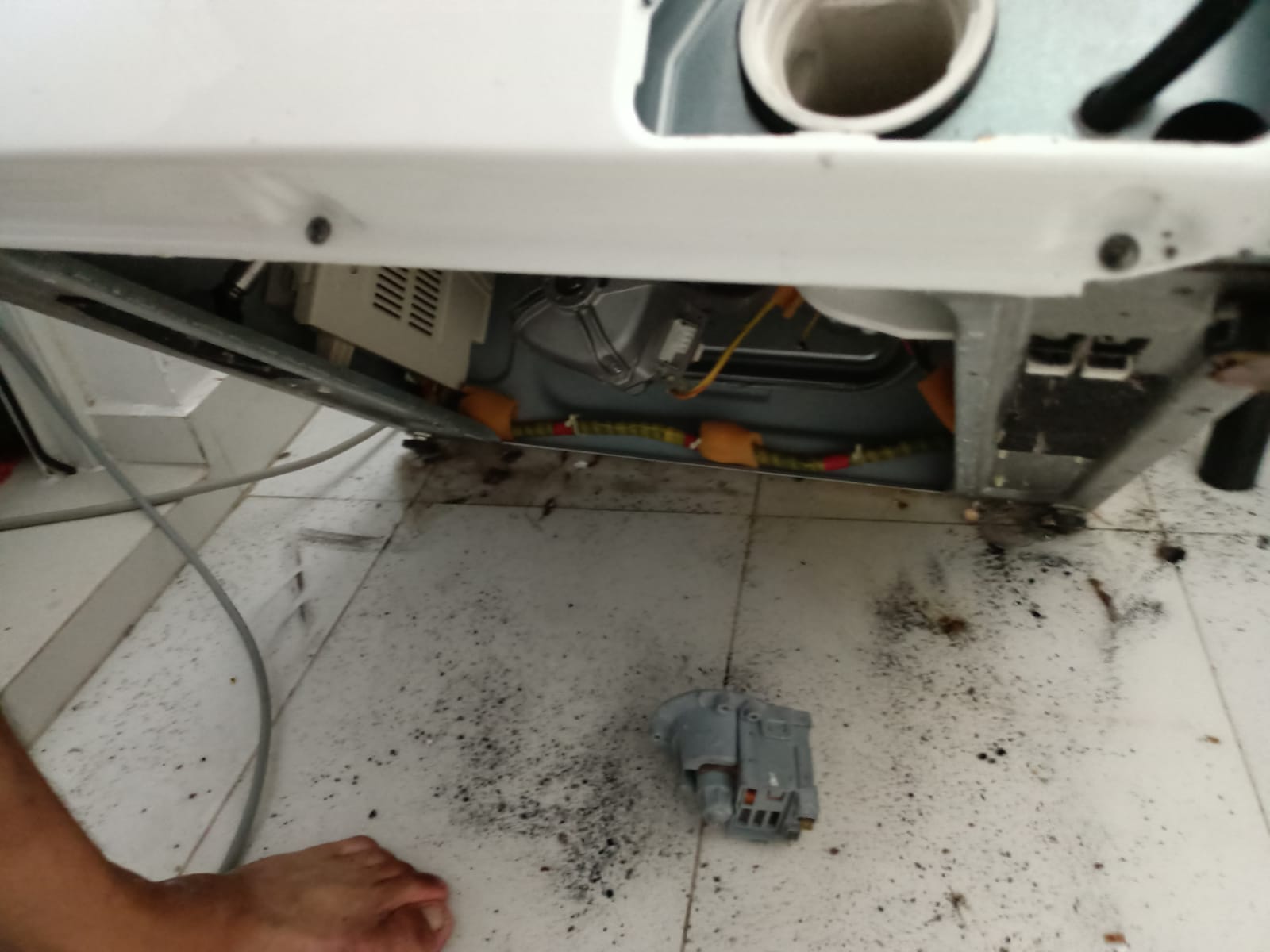 Washing Machine Checking For Filter Issue 2