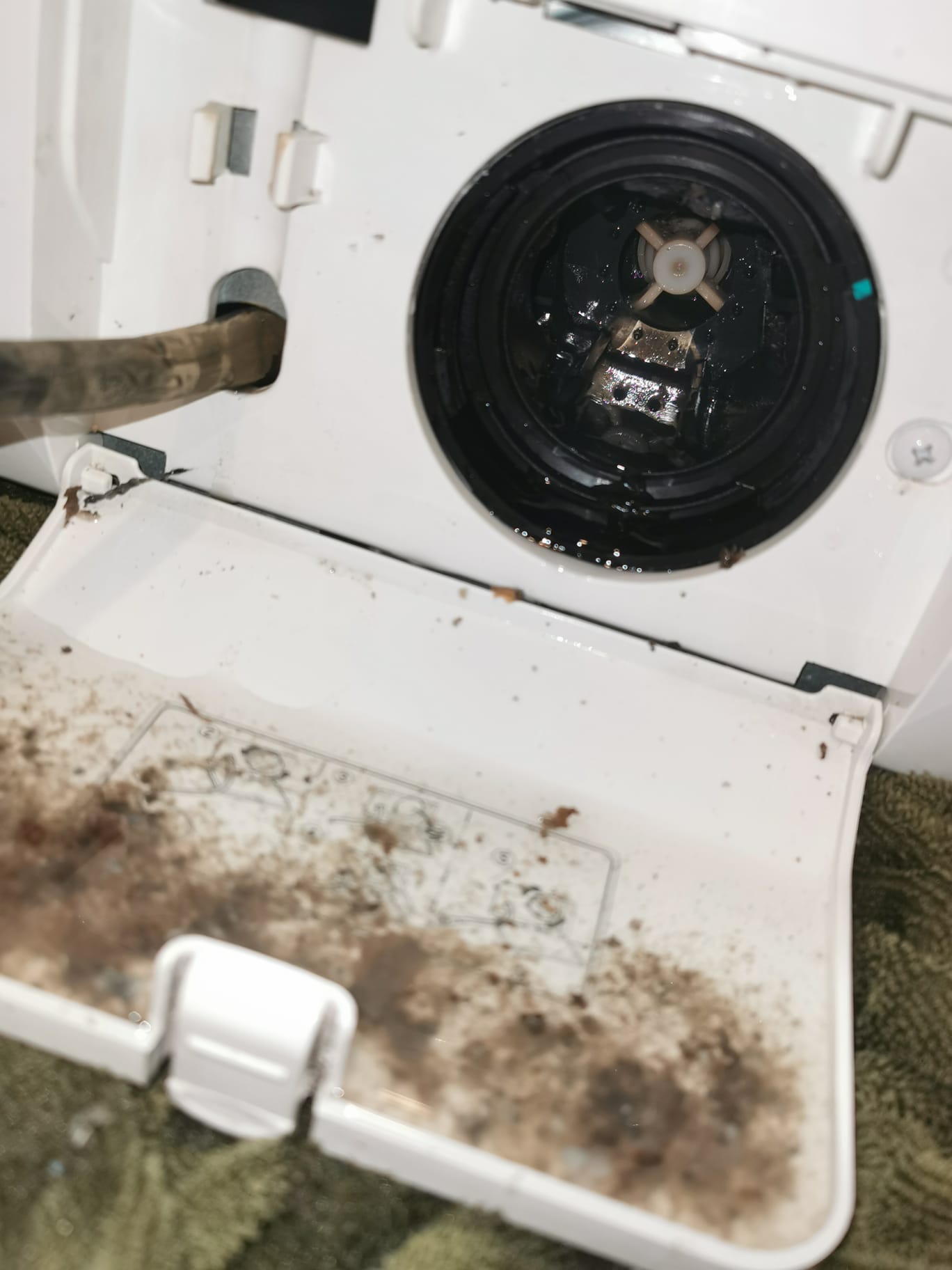 Washing Machine Checking For Filter Issue 1